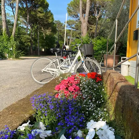 Dune Prestige & Bibione