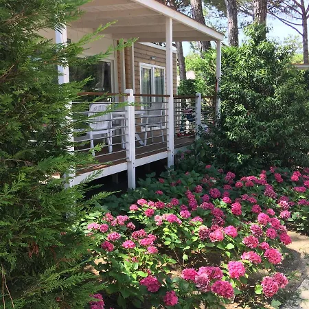 Dune Prestige & Бібіоне