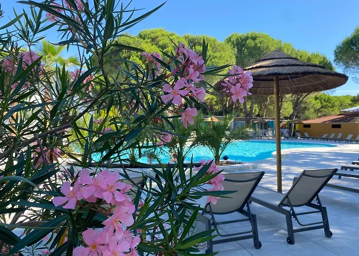 Dune Prestige & Apartment