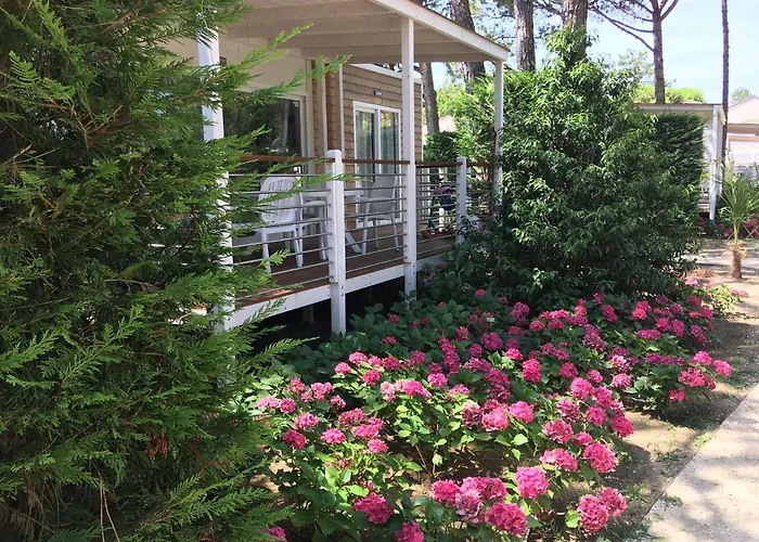 Dune Prestige & Bibione