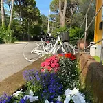 Dune Prestige & Bibione