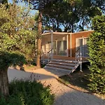 Apartment Dune Prestige & *
