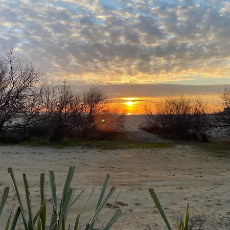 Dune Prestige & * Bibione