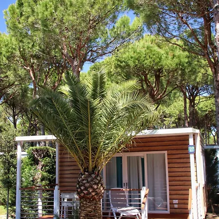 Daire Dune Prestige &