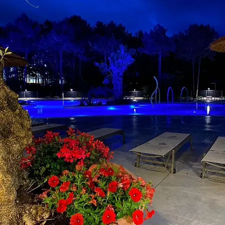 Апартаменты Dune Prestige &
