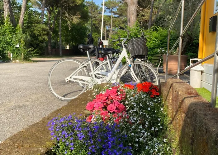 Dune Prestige & Бибионе