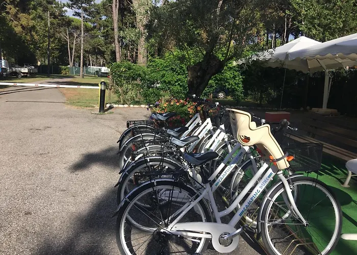 Apartament Dune Prestige & *